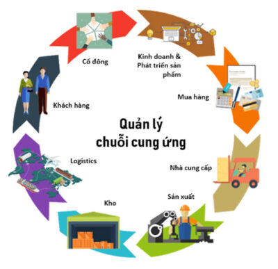 Chinh Phục Mọi Thách Thức Vận Hành Với Các Kỹ Năng Từ Khóa Học Của Balezia!